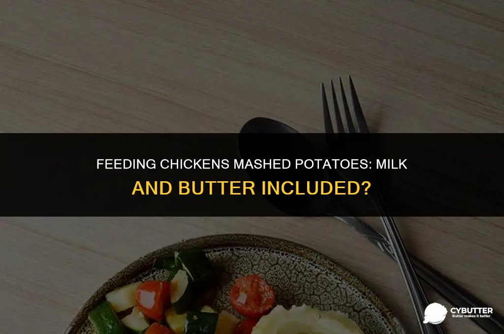 can chickens eat mashed potatoes with milk and butter