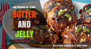 Feeding Chickens Peanut Butter and Jelly: A Nutritious Treat or Not?