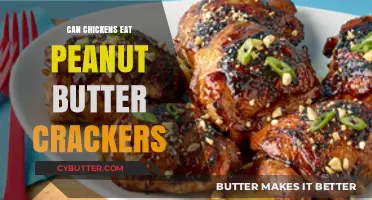 Feeding Chickens Peanut Butter Crackers: A Nutritious Treat or Not?