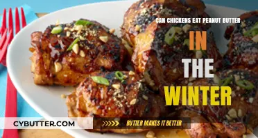 Winter Treats: Is Peanut Butter Safe for Chickens?