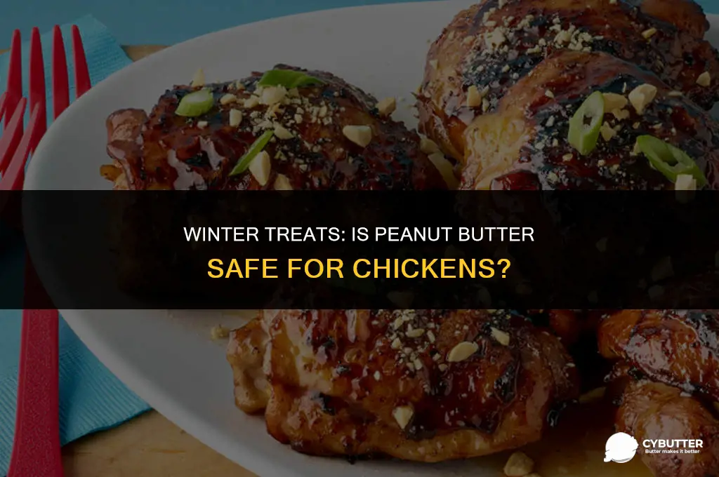 can chickens eat peanut butter in the winter