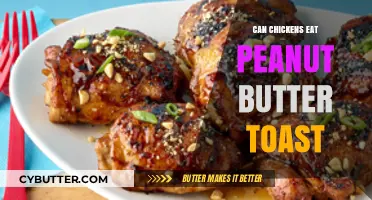 Feeding Chickens Peanut Butter Toast: A Nutritious Treat or Not?