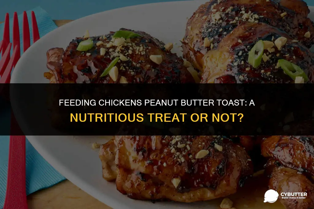 can chickens eat peanut butter toast