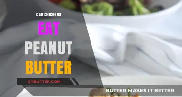 Can Chickens Eat Peanut Butter? A Nutty Query Answered