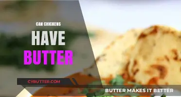 Can Chickens Indulge in Butter? A Surprising Answer