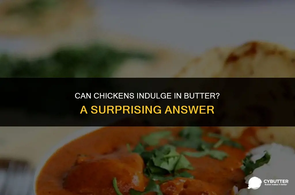 can chickens have butter