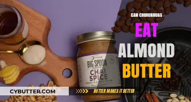 Can Chihuahuas Enjoy Almond Butter? A Nutty Dilemma