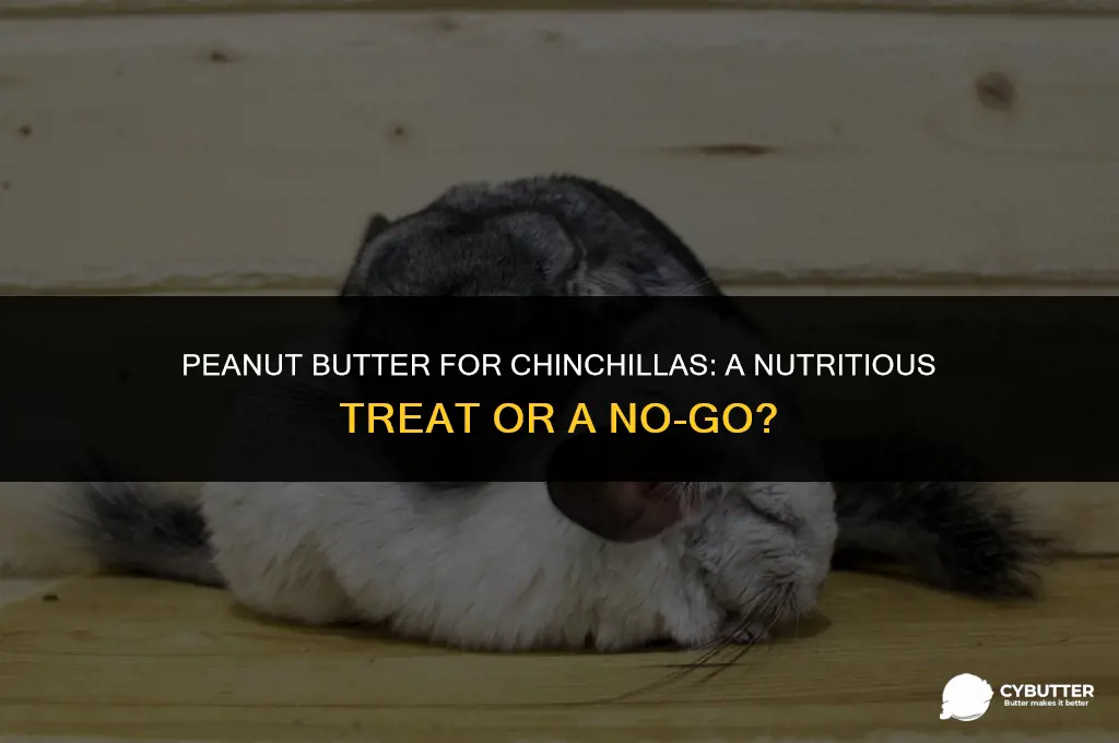 can chinchillas eat peanut butter
