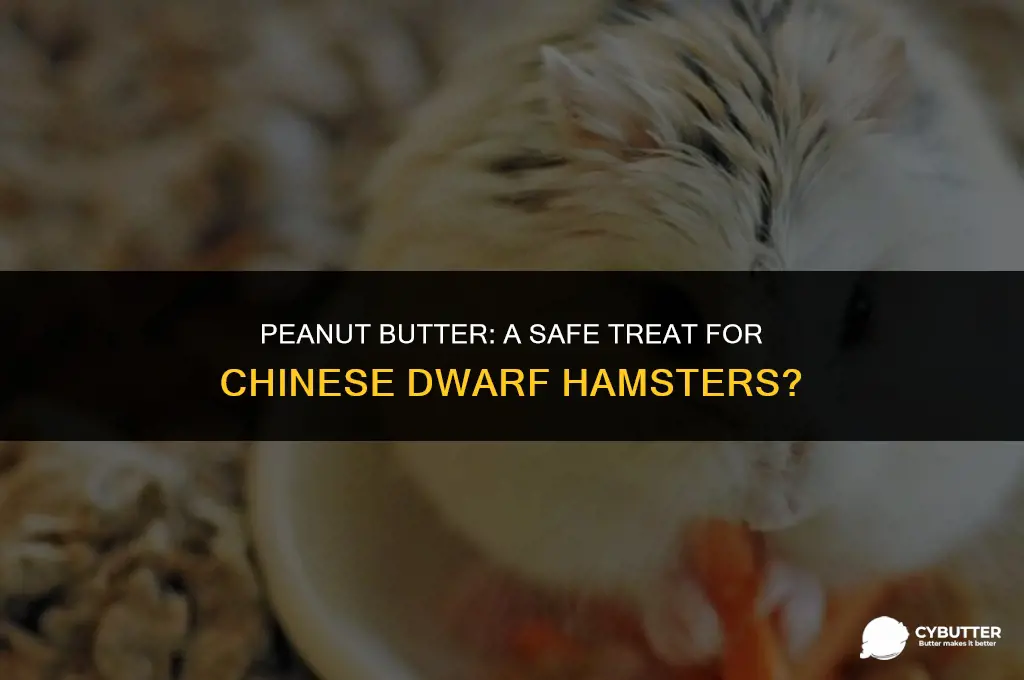 can chinese dwarf hamsters eat peanut butter