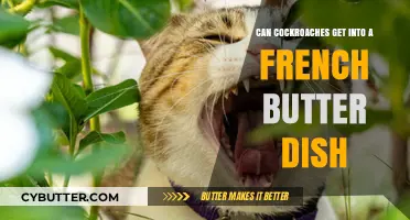 Cockroaches in French Butter Dishes: Myth or Real Concern?
