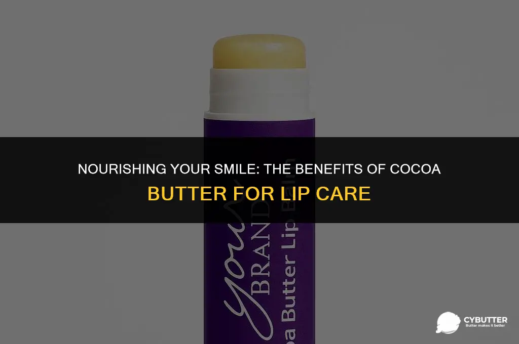 can cocoa butter be used on lips