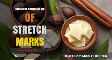 Can Cocoa Butter Effectively Fade Stretch Marks? A Comprehensive Review