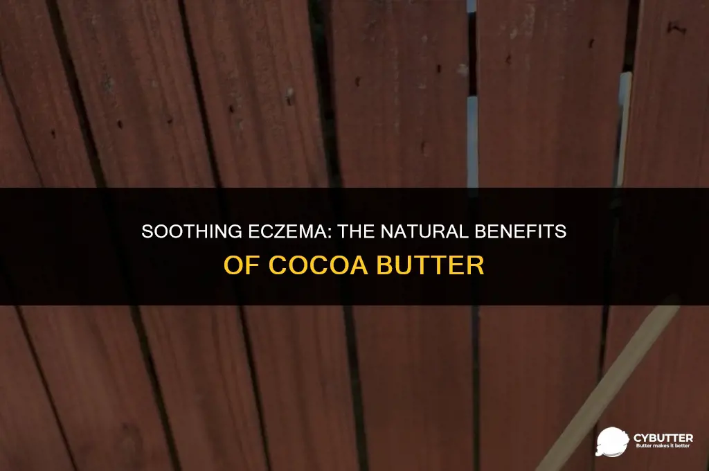 can cocoa butter help eczema