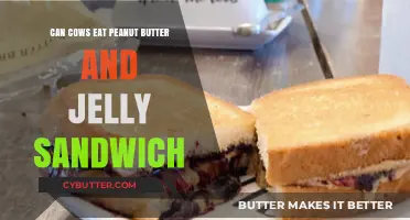 Peanut Butter and Jelly for Cows: A Surprisingly Nutritious Treat?