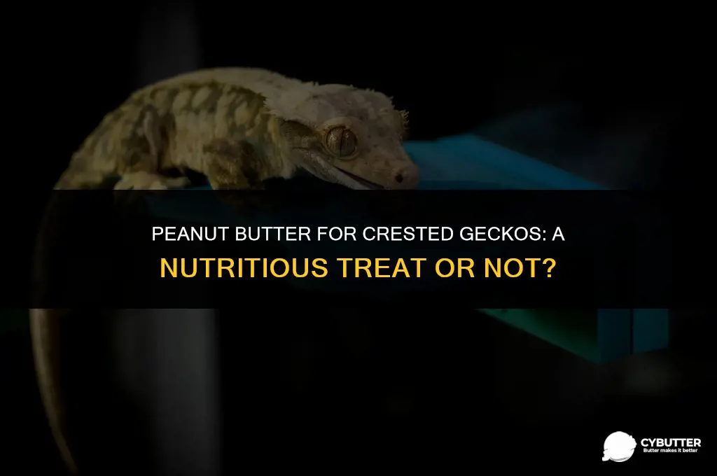 can crested geckos eat peanut butter