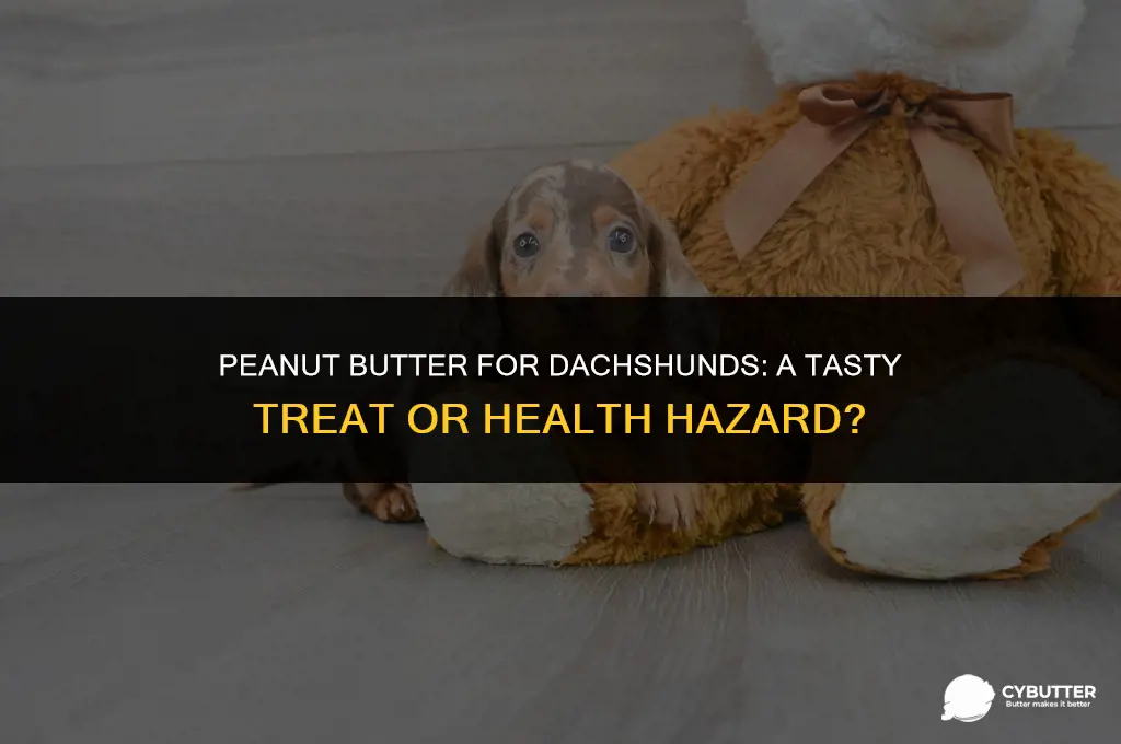 can dachshunds eat peanut butter