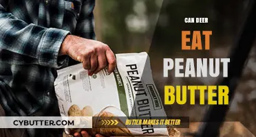 Deer Diet Dilemma: Is Peanut Butter Safe for Our Forest Friends?