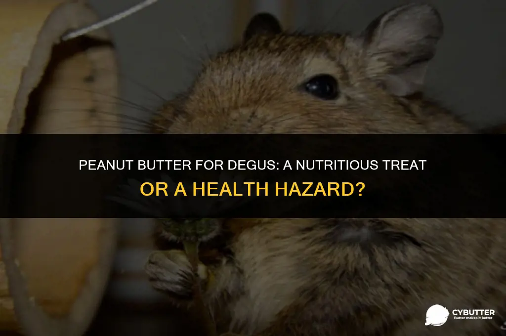 can degus eat peanut butter