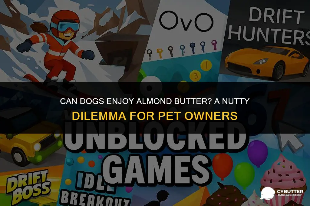 can digs eat almond butter