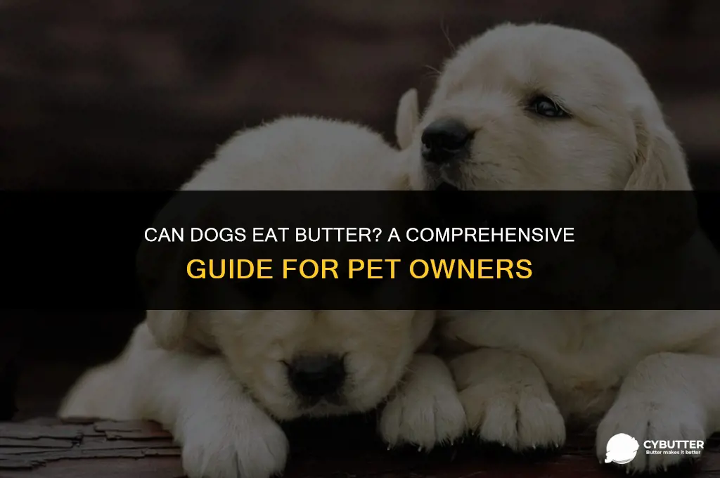 can digs eat butter