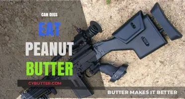 Can Dogs Enjoy Peanut Butter? A Tasty Treat or Health Hazard?