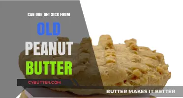 Can Old Peanut Butter Make Your Dog Sick? Find Out Here
