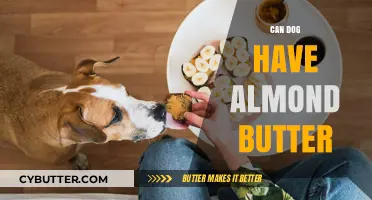 Can Dogs Enjoy Almond Butter? A Nutty Guide for Pet Owners