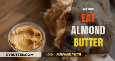 Can Dogs Enjoy Almond Butter? A Nutty Guide for Pet Owners