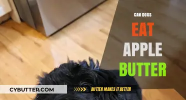Can Dogs Enjoy Apple Butter? A Tasty Treat or Toxic Danger?