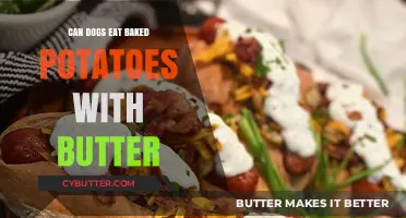 Can Dogs Enjoy Baked Potatoes with Butter? A Nutritional Guide