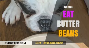 Can Dogs Eat Butter Beans? A Comprehensive Guide for Pet Owners