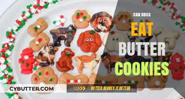 Can Dogs Eat Butter Cookies? A Comprehensive Guide for Pet Owners