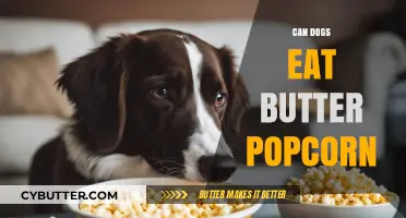 Butter Popcorn for Dogs: A Tasty Treat or a No-No?