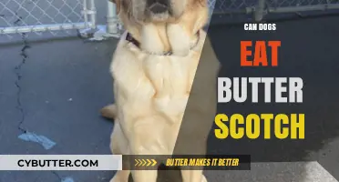 Can Dogs Indulge in Butterscotch? A Sweet Treat or Risky Delight?