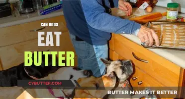 Can Dogs Eat Butter? A Comprehensive Guide for Pet Owners