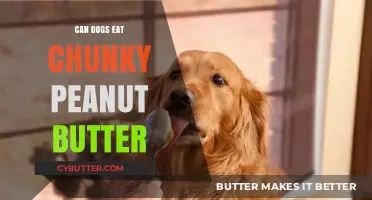Can Dogs Enjoy Chunky Peanut Butter Safely?