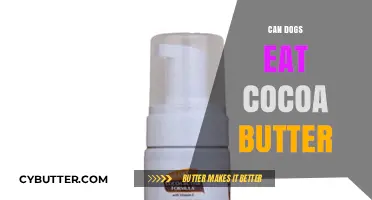 Can Dogs Eat Cocoa Butter? A Comprehensive Guide for Pet Owners
