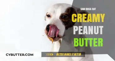 Can Dogs Enjoy Creamy Peanut Butter Safely?