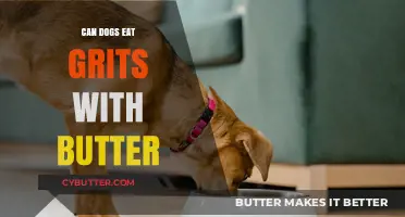 Paws and Reflect: Can Dogs Indulge in Grits with Butter?