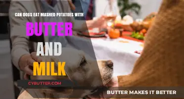 Can Dogs Enjoy Mashed Potatoes with Butter and Milk?