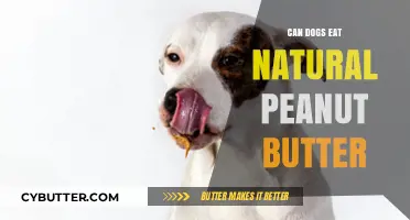 Can Dogs Enjoy Natural Peanut Butter? A Nutty Debate