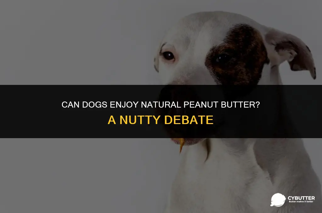 can dogs eat natural peanut butter