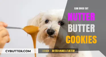 Can Dogs Enjoy Nutter Butter Cookies? A Tasty Dilemma
