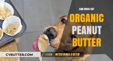 Can Dogs Enjoy Organic Peanut Butter? A Nutty Debate