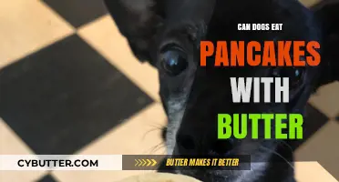 Paws and Pancakes: Can Dogs Indulge in Buttery Breakfast Delights?