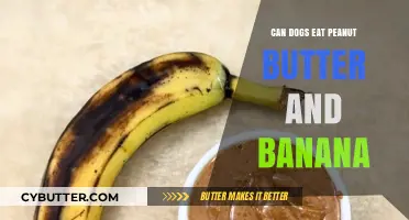 Peanut Butter and Banana: A Nutritious Treat for Your Canine Companion