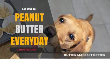 Peanut Butter for Pups: A Daily Treat or a Nutty No-No?