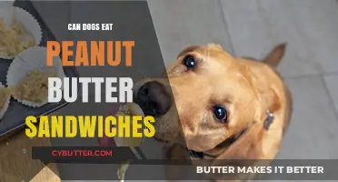 Peanut Butter Sandwiches for Dogs: A Nutritious Treat or Not?