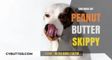Peanut Butter Treats for Pups: Skippy's Safe for Dogs?