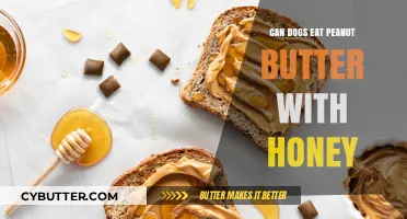 Sweet and Nutty Treats: Can Dogs Enjoy Peanut Butter with Honey?